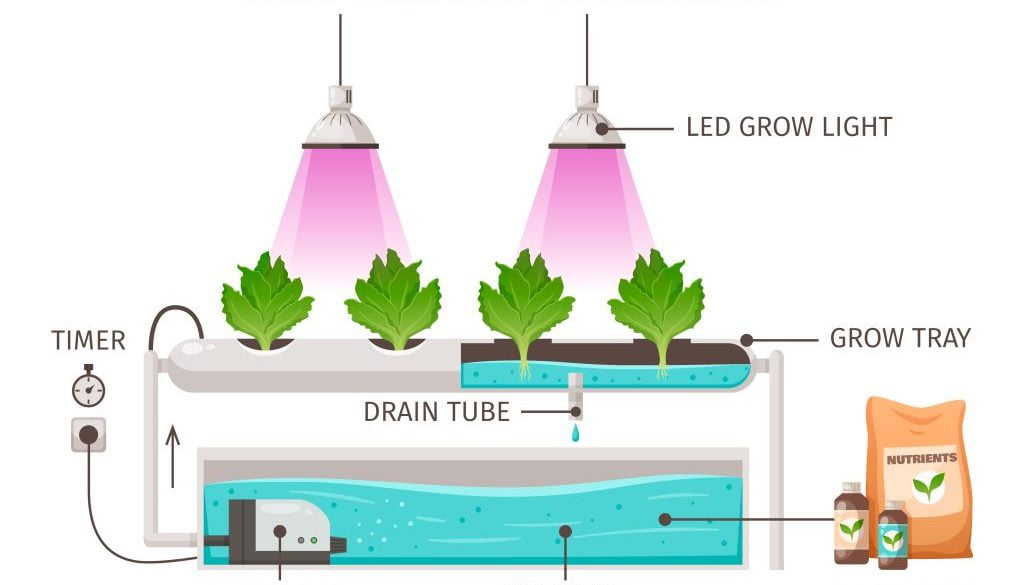 Hydroponics Farming Concept