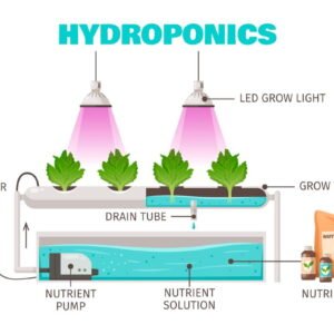 Hydroponics Farming Concept