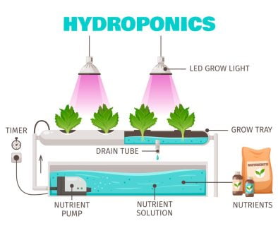 Hydroponics Farming Concept