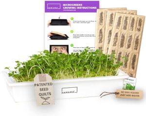 HAMAMA Home Microgreens Growing Kit