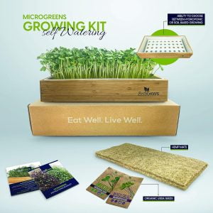 Zesti Greens Microgreens Growing Kit